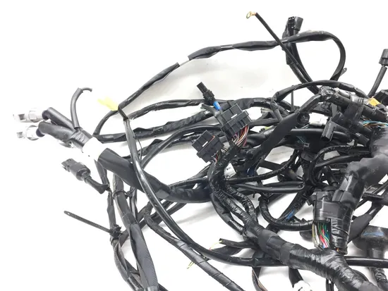 Main Engine Wiring Harness Yamaha Wolverine RMAX4 1000 YXF10 R-Spec 3080