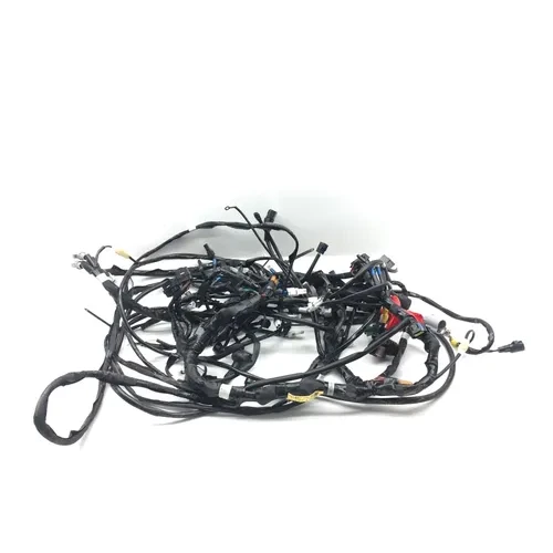 Main Engine Wiring Harness Yamaha Wolverine RMAX4 1000 YXF10 R-Spec 3080 11