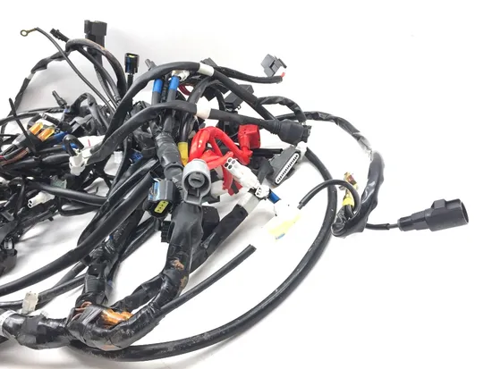 Main Engine Wiring Harness Yamaha Wolverine RMAX4 1000 YXF10 R-Spec 3080