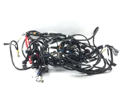 Main Engine Wiring Harness Yamaha Wolverine RMAX4 1000 YXF10 R-Spec 3080