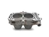 Engine Cylinder Jug 2016 Polaris RZR S 900 EPS 3058 x