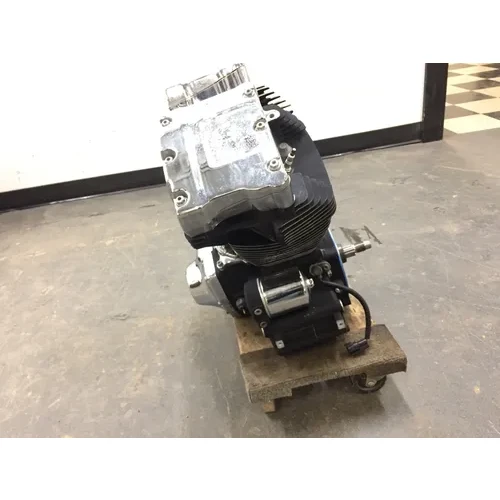 Engine Motor 2002 Harley-Davidson Fatboy EFI FLSTFI 3067 x 13