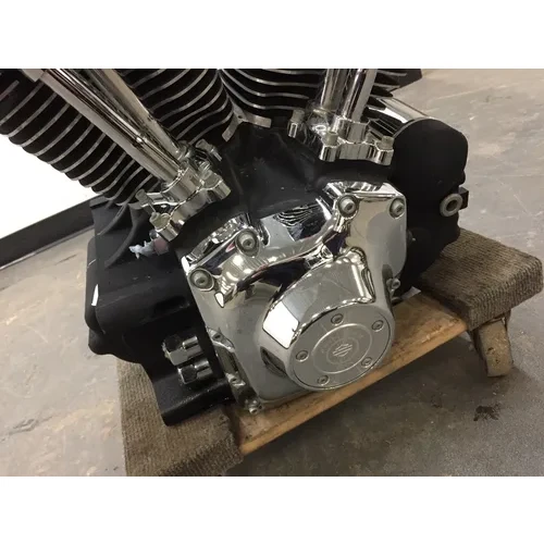 Engine Motor 2002 Harley-Davidson Fatboy EFI FLSTFI 3067 x 19