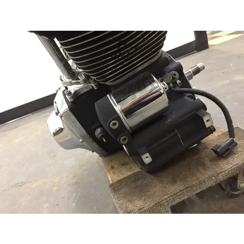 Engine Motor 2002 Harley-Davidson Fatboy EFI FLSTFI 3067 x 15