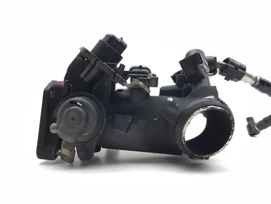 Throttle Body 2006 Harley-Davidson Dyna Wide Glide EFI FXDWGI 3069 x