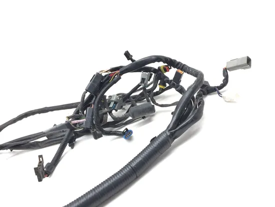 Main Engine Wiring Harness 2006 Harley Dyna Wide Glide EFI FXDWGI 3069 x