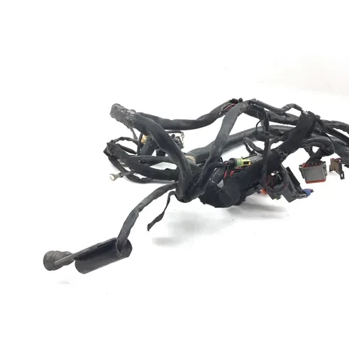 Main Engine Wiring Harness 2006 Harley Dyna Wide Glide EFI FXDWGI 3069 x 5