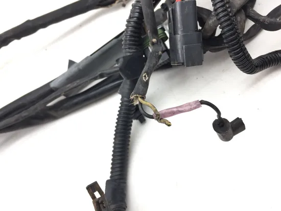 Main Engine Wiring Harness 2006 Harley Dyna Wide Glide EFI FXDWGI 3069 x