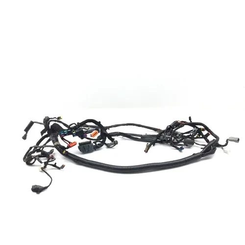 Main Engine Wiring Harness 2006 Harley Dyna Wide Glide EFI FXDWGI 3069 x 9