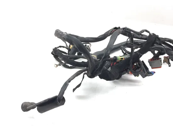 Main Engine Wiring Harness 2006 Harley Dyna Wide Glide EFI FXDWGI 3069 x