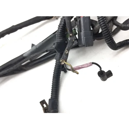 Main Engine Wiring Harness 2006 Harley Dyna Wide Glide EFI FXDWGI 3069 x 14