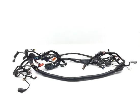 Main Engine Wiring Harness 2006 Harley Dyna Wide Glide EFI FXDWGI 3069 x
