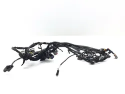 Main Engine Wiring Harness 2006 Harley Dyna Wide Glide EFI FXDWGI 3069 x