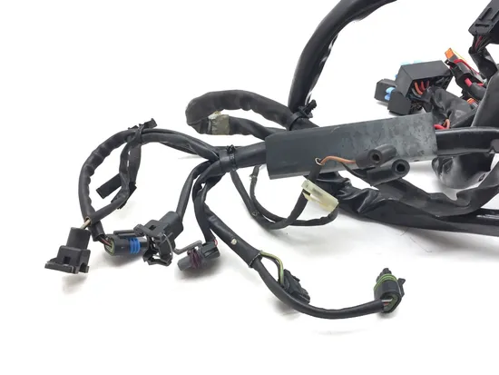 Main Engine Wiring Harness 2005 Harley-Davidson Dyna Wide Glide EFI FXDWGI 3064