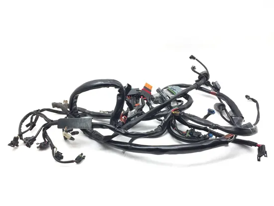 Main Engine Wiring Harness 2005 Harley-Davidson Dyna Wide Glide EFI FXDWGI 3064