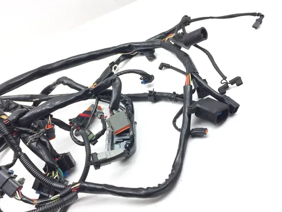 Main Engine Wiring Harness 2005 Harley-Davidson Dyna Wide Glide EFI FXDWGI 3064