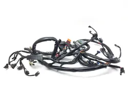 Main Engine Wiring Harness 2005 Harley-Davidson Dyna Wide Glide EFI FXDWGI 3064