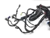 Main Engine Wiring Harness 2005 Harley-Davidson Dyna Wide Glide EFI FXDWGI 3064