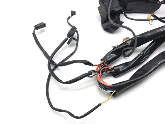 Main Engine Wiring Harness 1999 Davidson Road King Classic EFI FLHRCI 3068 x