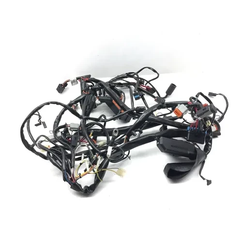 Main Engine Wiring Harness 1999 Davidson Road King Classic EFI FLHRCI 3068 x 17
