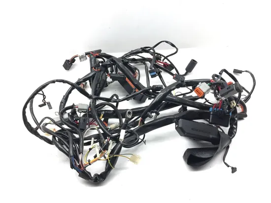 Main Engine Wiring Harness 1999 Davidson Road King Classic EFI FLHRCI 3068 x