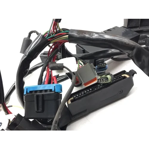 Main Engine Wiring Harness 1999 Davidson Road King Classic EFI FLHRCI 3068 x 11