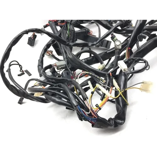 Main Engine Wiring Harness 1999 Davidson Road King Classic EFI FLHRCI 3068 x 19