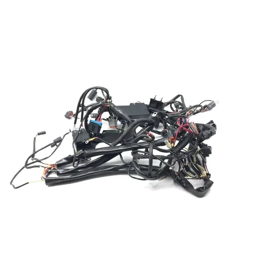 Main Engine Wiring Harness 1999 Davidson Road King Classic EFI FLHRCI 3068 x 3