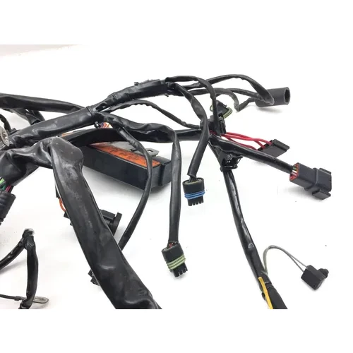 Main Engine Wiring Harness 1999 Davidson Road King Classic EFI FLHRCI 3068 x 22