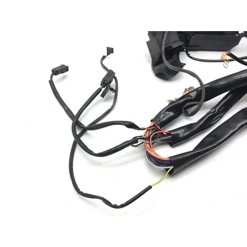 Main Engine Wiring Harness 1999 Davidson Road King Classic EFI FLHRCI 3068 x 7