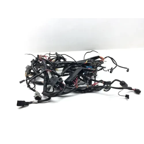 Main Engine Wiring Harness 1999 Davidson Road King Classic EFI FLHRCI 3068 x 15