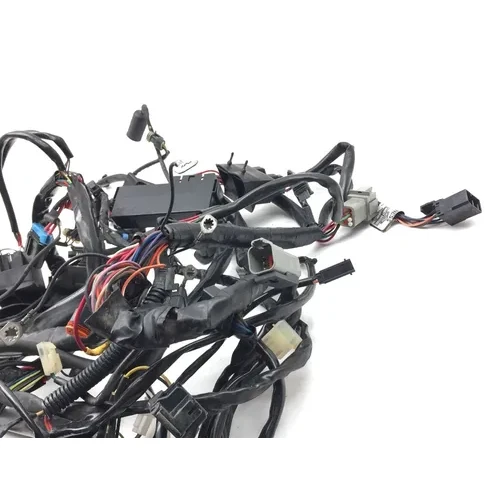 Main Engine Wiring Harness 1999 Davidson Road King Classic EFI FLHRCI 3068 x 13