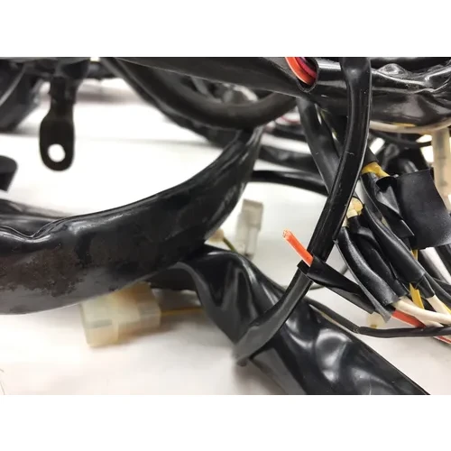 Main Engine Wiring Harness 1999 Davidson Road King Classic EFI FLHRCI 3068 x 5