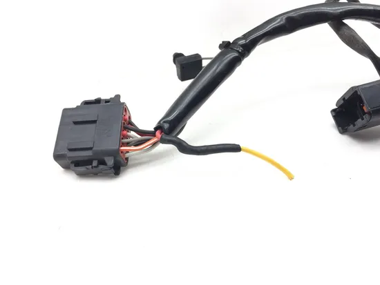 Main Engine Wiring Harness 1999 Davidson Road King Classic EFI FLHRCI 3068 x