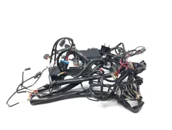 Main Engine Wiring Harness 1999 Davidson Road King Classic EFI FLHRCI 3068 x