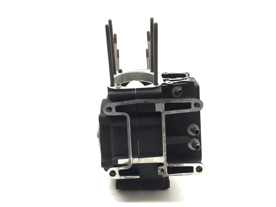 Engine Left Right Center Cases 2000 Harley Electra Glide Classic FLHTCI 3055 x