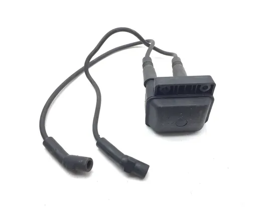 Ignition Coil Set 2000 Harley-Davidson Electra Glide Classic EFI FLHTCI 3055 1