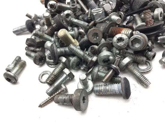 Misc Bolt Kit 2000 Harley-Davidson Electra Glide Classic EFI FLHTCI 3055