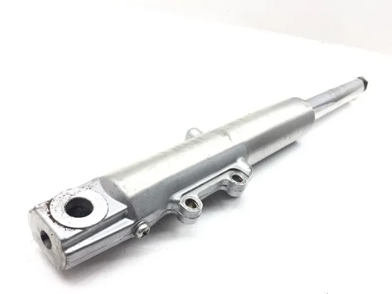 Front Forks Tubes Legs 2000 Harley-Davidson Electra Glide Classic FLHTCI 3055 x