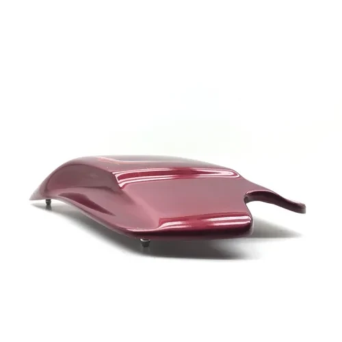 Left Side Cover 2000 Harley-Davidson Electra Glide Classic EFI FLHTCI 3055 x 5