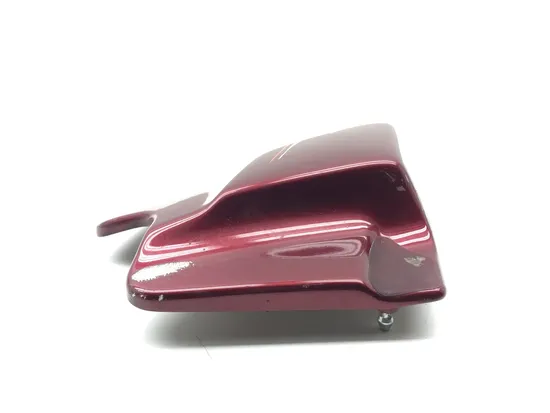 Left Side Cover 2000 Harley-Davidson Electra Glide Classic EFI FLHTCI 3055 x