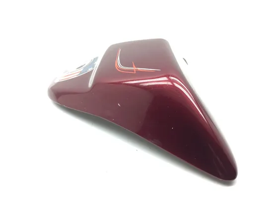 Right Side Cover 2000 Harley-Davidson Electra Glide Classic EFI FLHTCI 3055 x