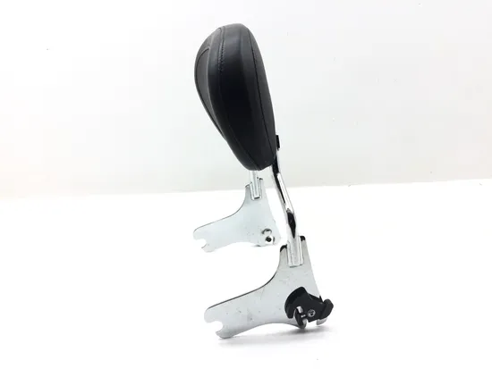 Sissy Bar 2000 Harley-Davidson Electra Glide Classic EFI FLHTCI 3055