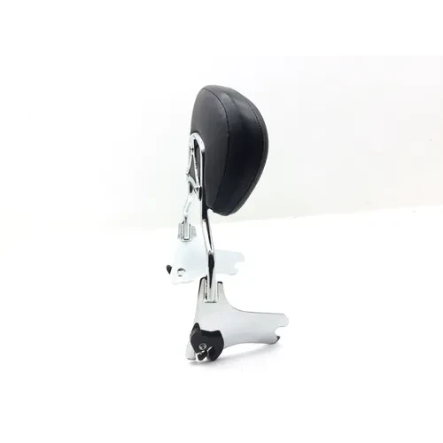 Sissy Bar 2000 Harley-Davidson Electra Glide Classic EFI FLHTCI 3055 9