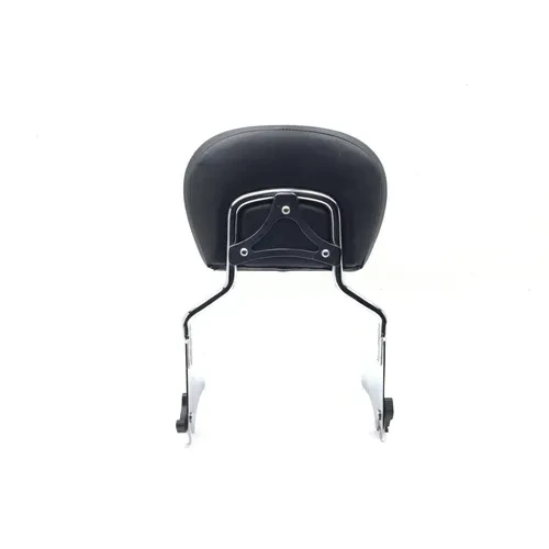 Sissy Bar 2000 Harley-Davidson Electra Glide Classic EFI FLHTCI 3055 7