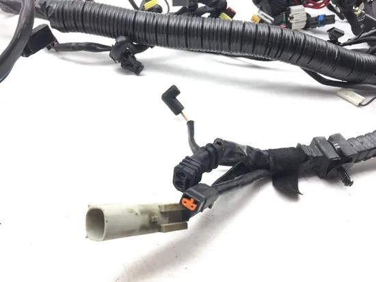 Main Engine Wiring Harness 2015 Harley-Davidson Dyna Low Rider FXDL 3075