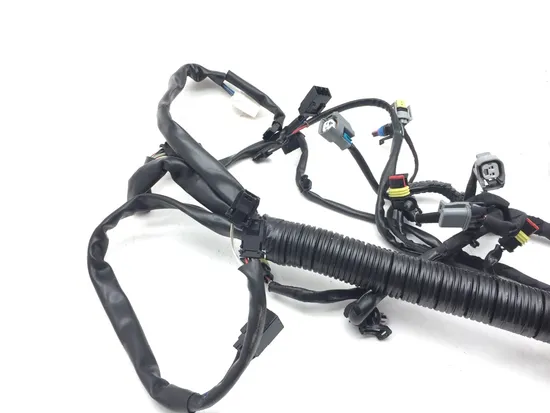 Main Engine Wiring Harness 2015 Harley-Davidson Dyna Low Rider FXDL 3075