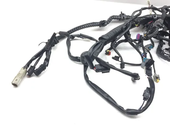 Main Engine Wiring Harness 2015 Harley-Davidson Dyna Low Rider FXDL 3075