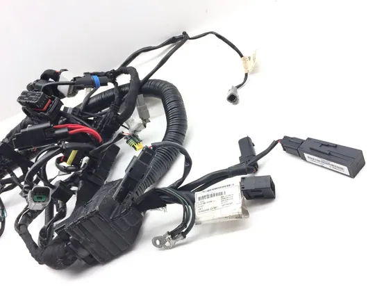 Main Engine Wiring Harness 2015 Harley-Davidson Dyna Low Rider FXDL 3075