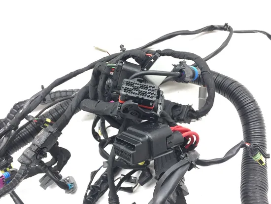 Main Engine Wiring Harness 2015 Harley-Davidson Dyna Low Rider FXDL 3075